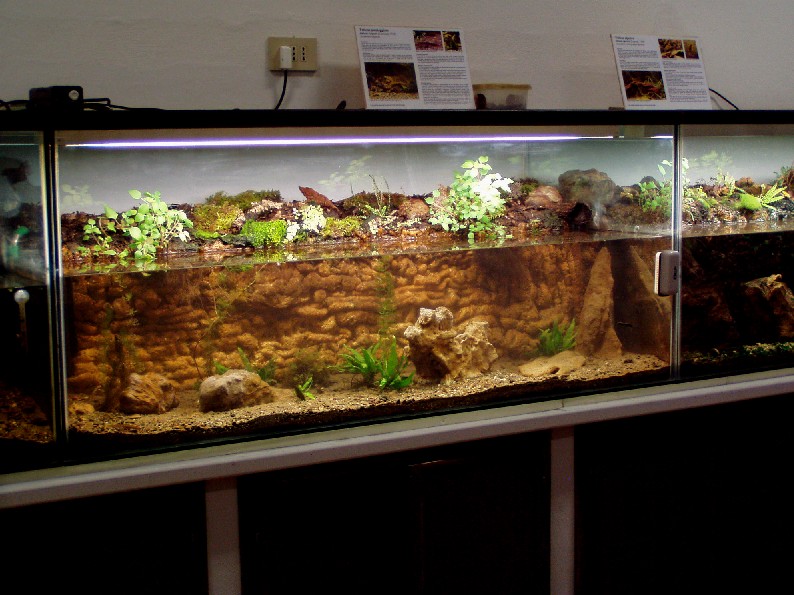 I Terracquari del Centro di Entomologia - Piombino (LI)